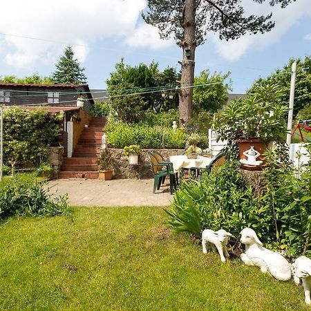 Ruegenurlaub 1 Apartment Bergen Auf Rugen Cameră foto